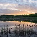 Basement Suite In Calgary - Short Drive To Banff